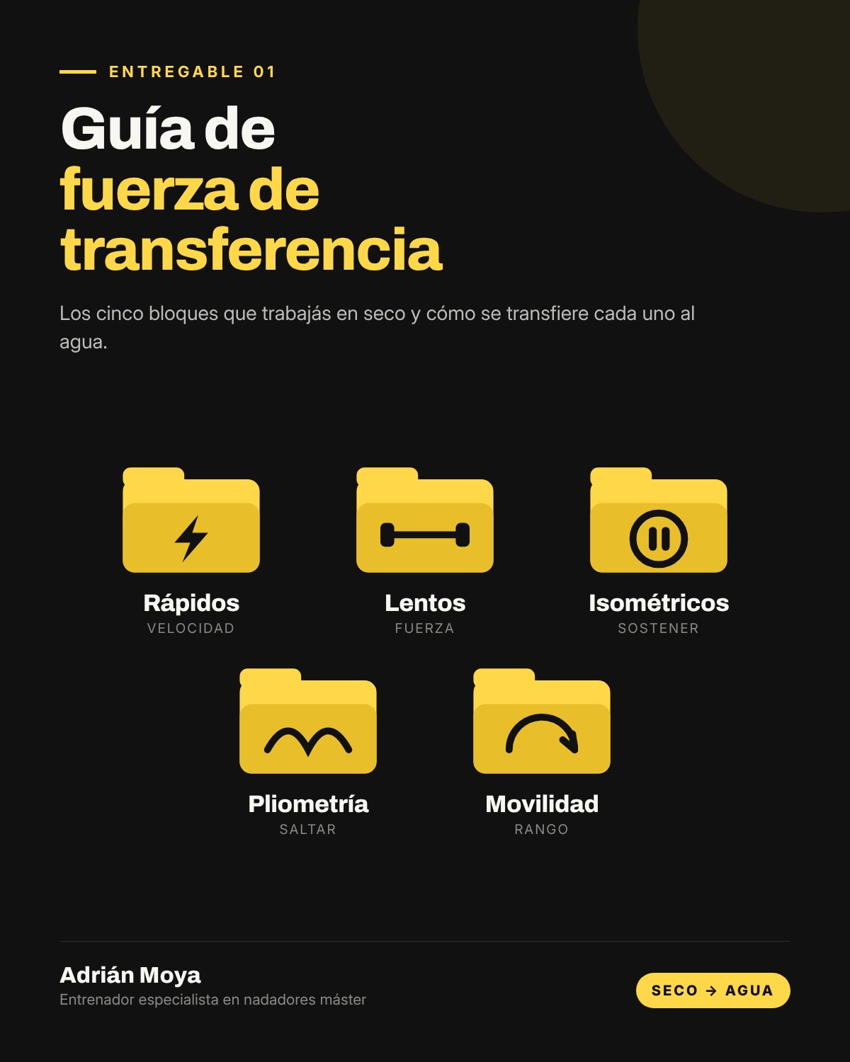 Portada de la Guía de fuerza de transferencia: rápidos, lentos, isométricos, pliometría y movilidad